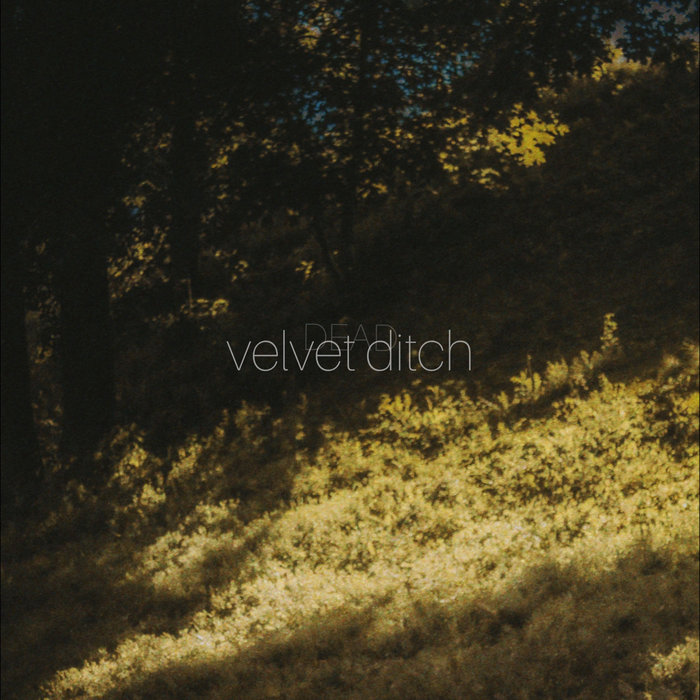 What Is A Velvet Ditch at Virgil Whitley blog
