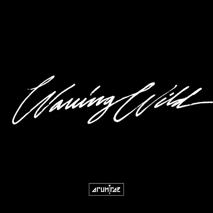 venuscordi's collection Bandcamp