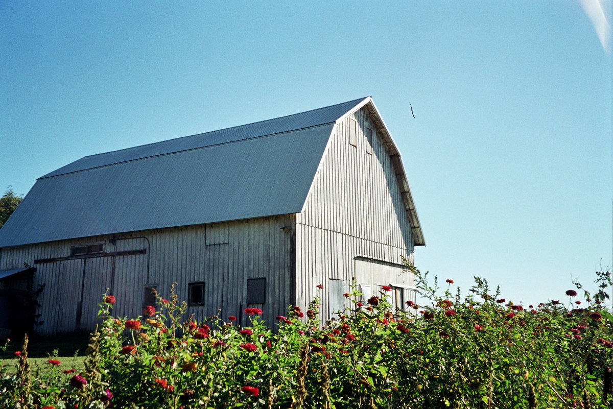 trout marvin labelle Marvin Labelle