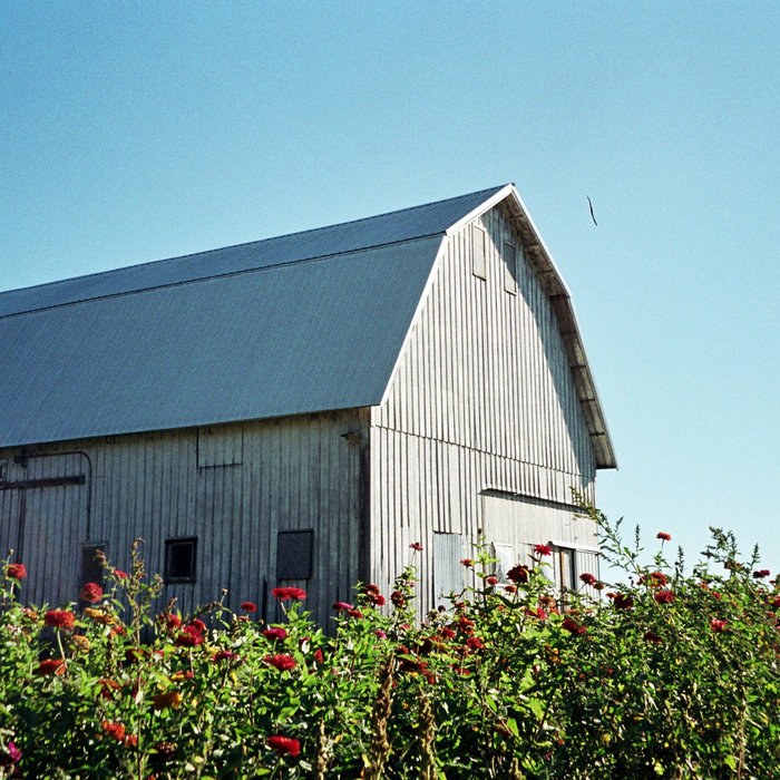 trout marvin labelle Marvin Labelle