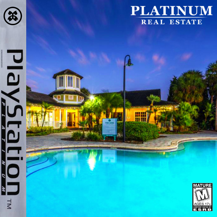 Platinum Real Estate PlayStation platinum CO.