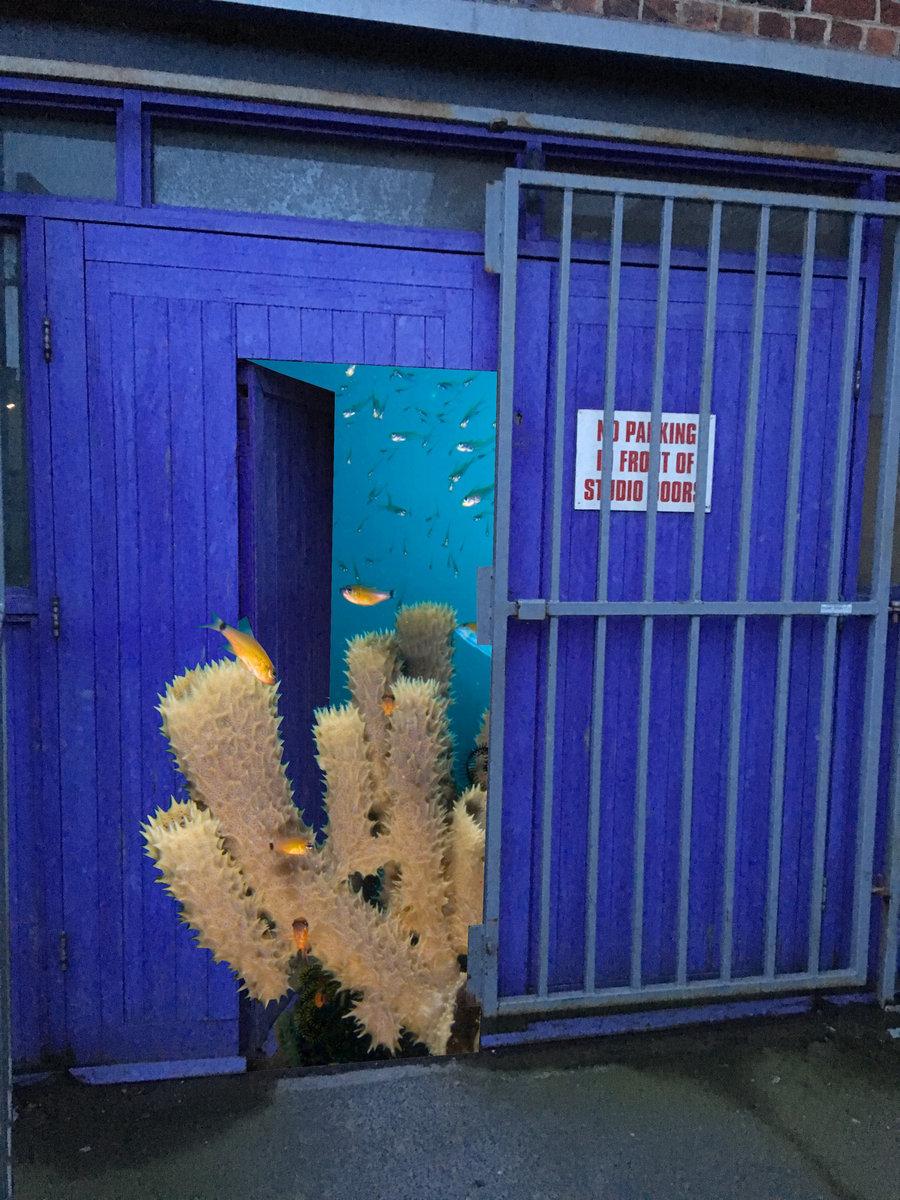 Ode to Spongehouse Guttersnipe