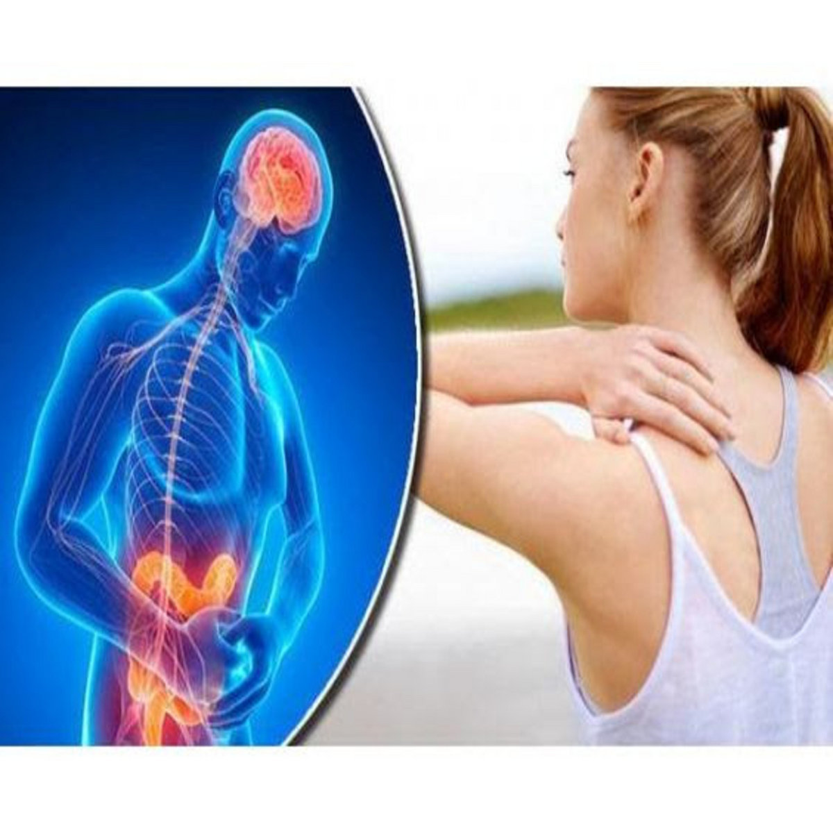 Zen Leaf CBD Gummies REVIEWS 2024 {UPDATED} RISKY OR SCAM DOES IT