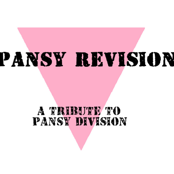 Pansy Revision A Tribute to Pansy Division Rocket Punch RCRDS