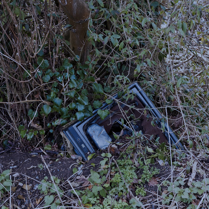 Dogs Barking In Distance shaving heads