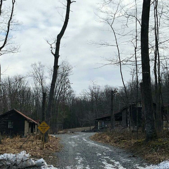 Chester's Cabin In The Woods Cermitt