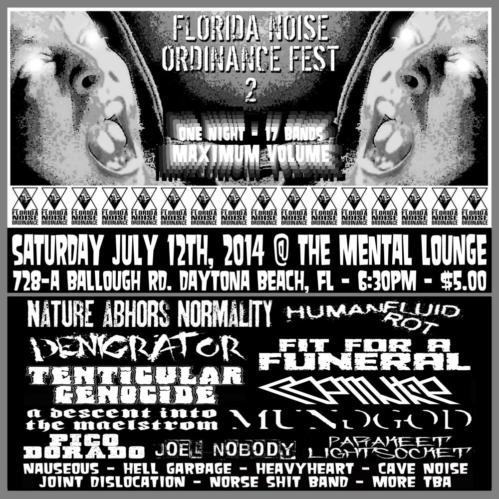 Florida Noise Ordinance Fest 2 Sampler V/A Florida Noise Ordinance