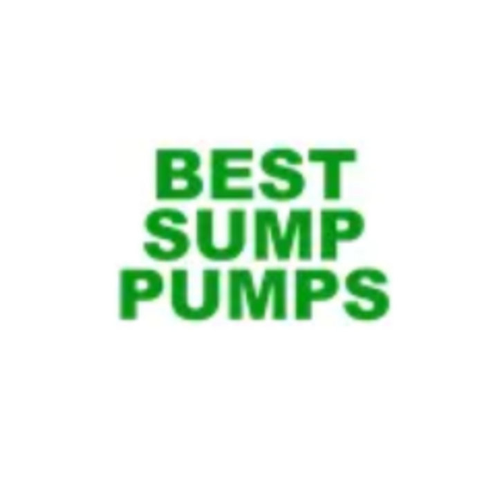 Best Sump Pumps Best Sump Pumps