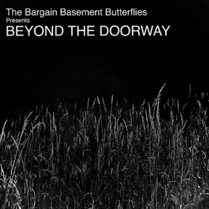 Beyond The Doorway The Bargain Basement Butterflies