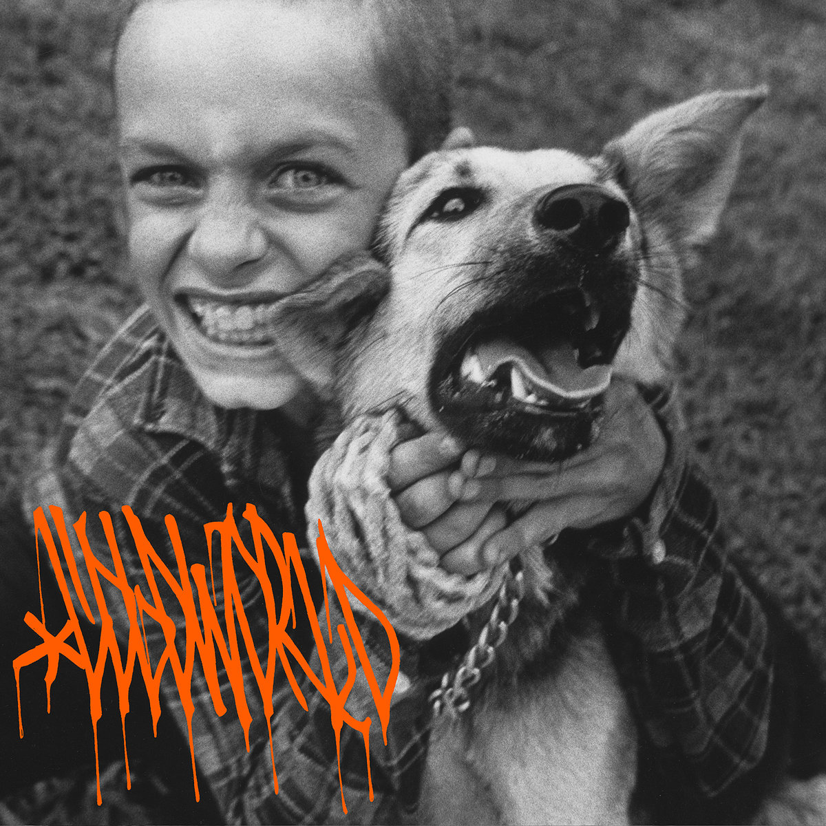 What Happens When A Puppy Comes Out Of Its Feet First