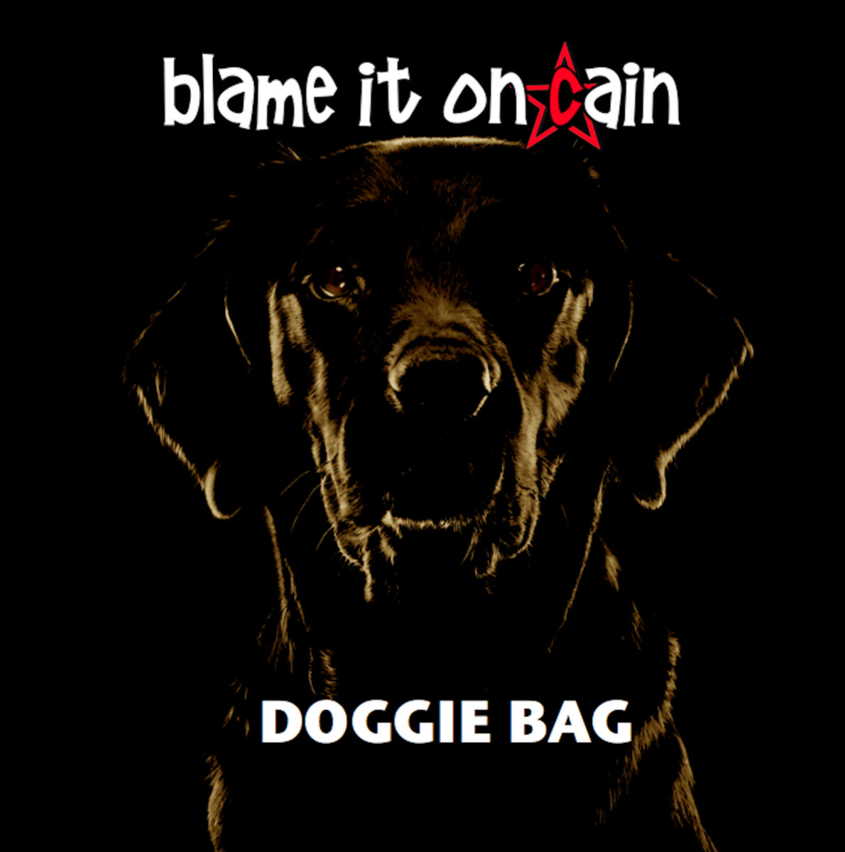 Doggie Bag Blame It On Cain