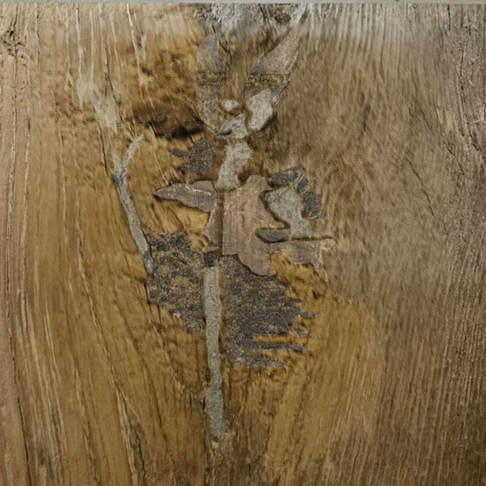 Big Brad's Dance Class Cameron Clarke