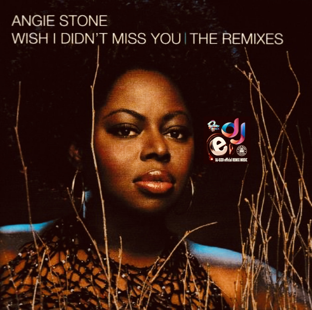 Angie Stone Wish I Didn't Miss You (DjEizo Funky House Remix (Intro