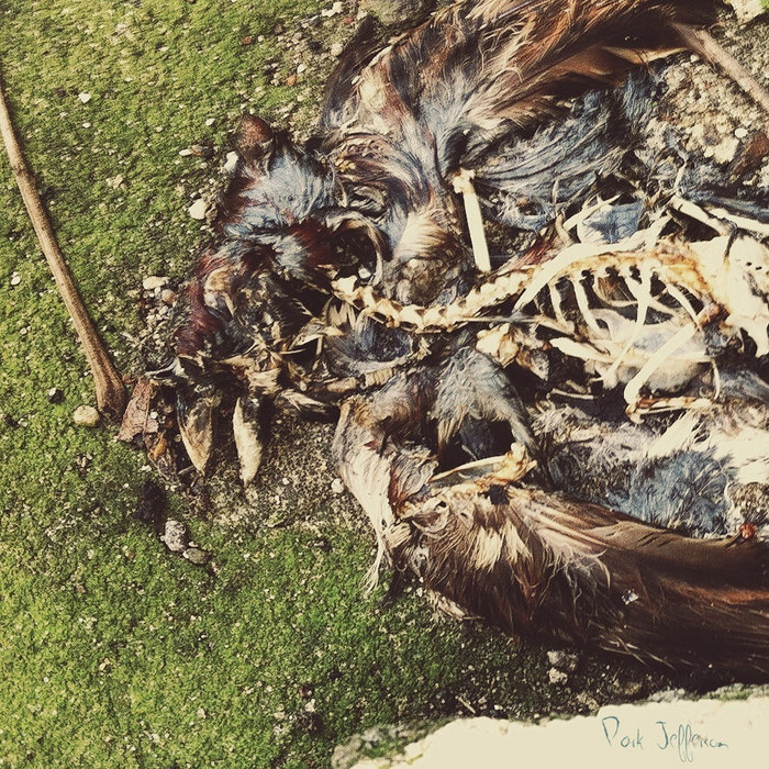 Park Jefferson Park Jefferson