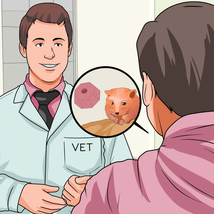 The Moldy Peaches Who Got The Crack Chords Guitar Kalawsan