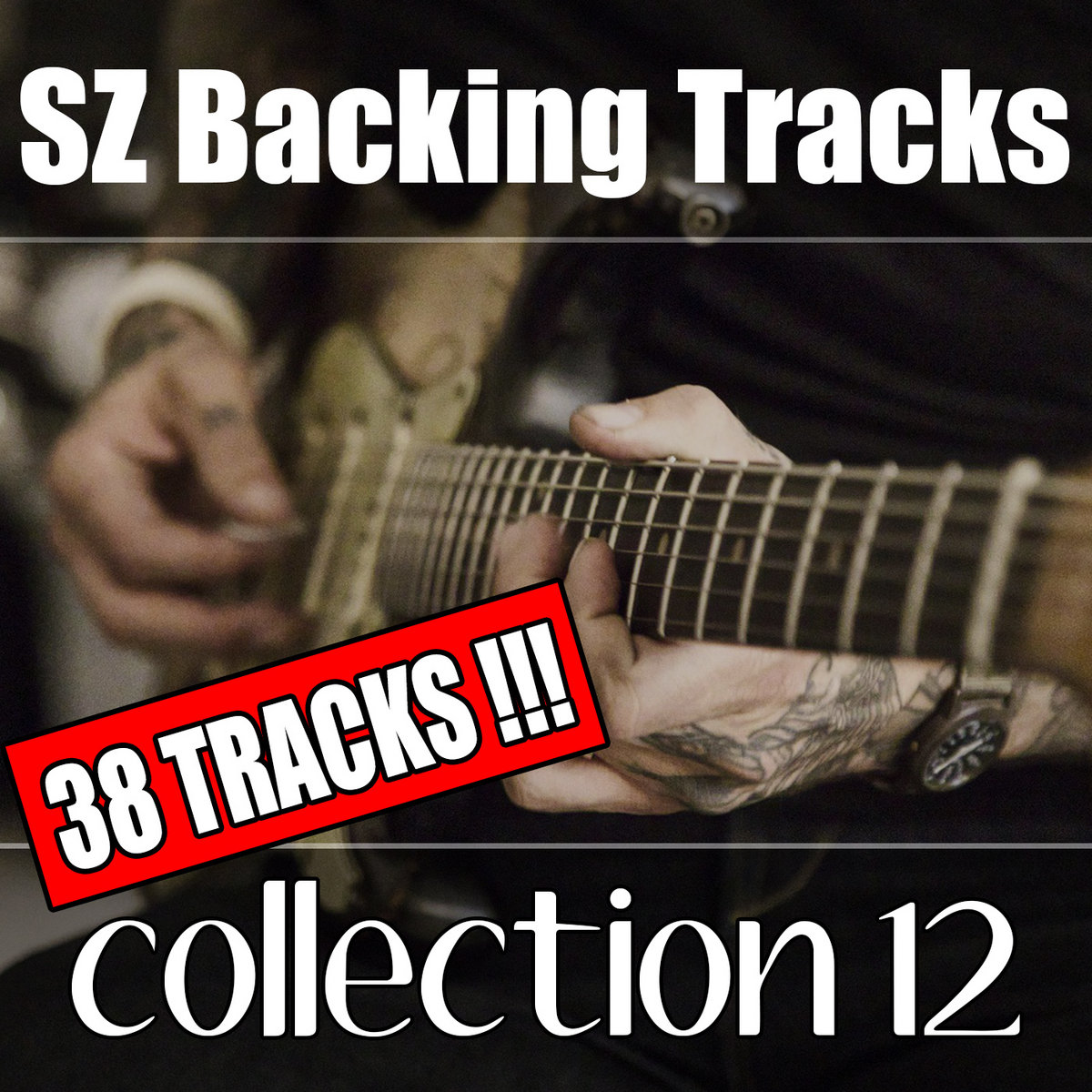 SZ Backing Tracks Collection 12 ( 38 Tracks !!! ) Sebastien Zunino