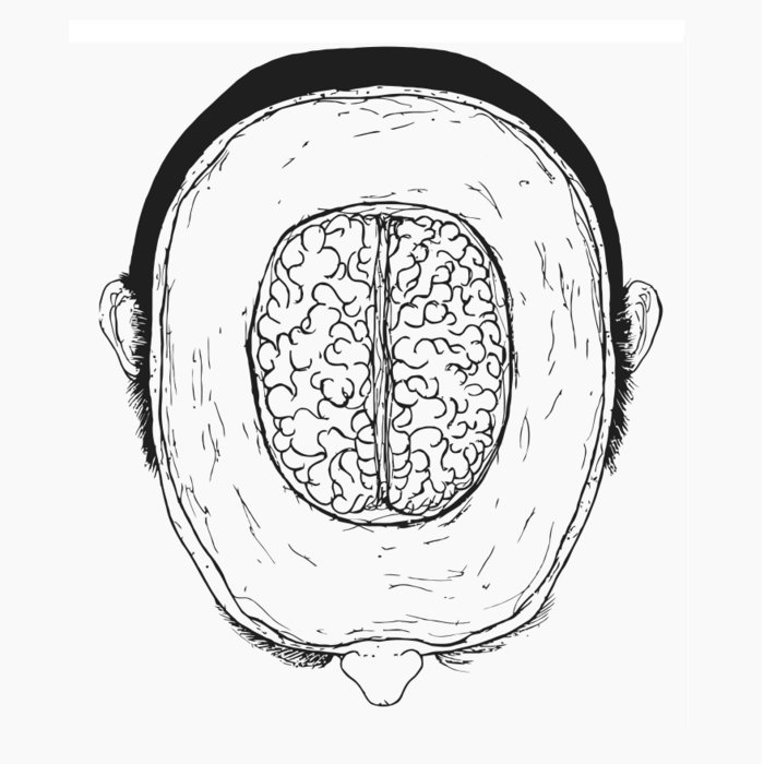 Thick Skull Narrowed