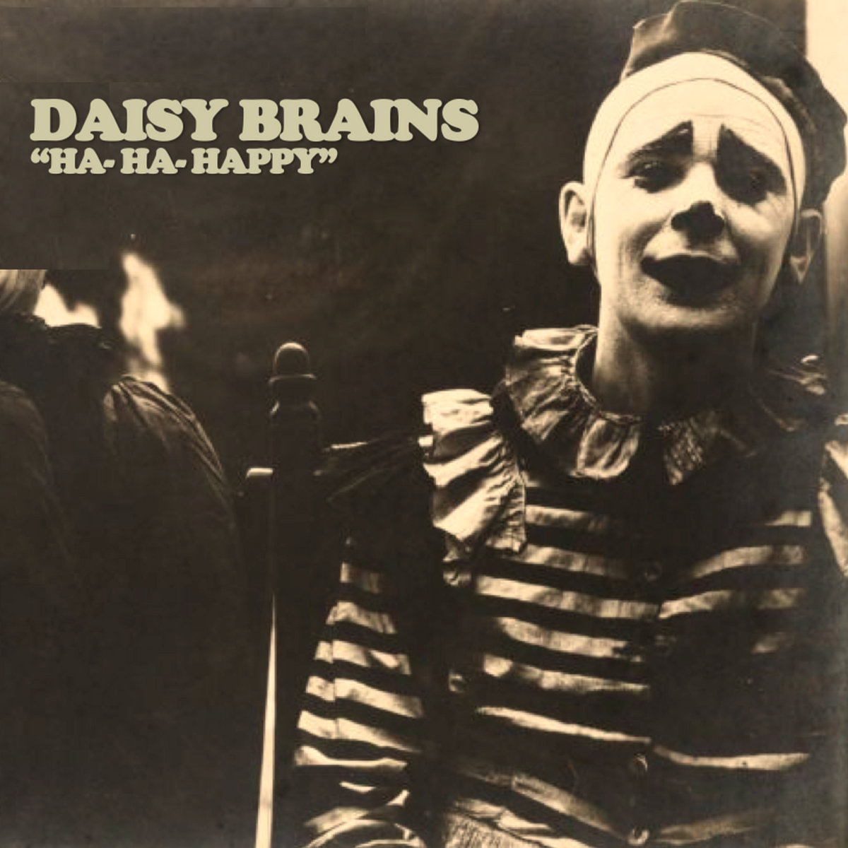 Blackbox Singles Daisy Brains