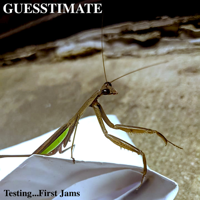 Testing...First Jams Guesstimate