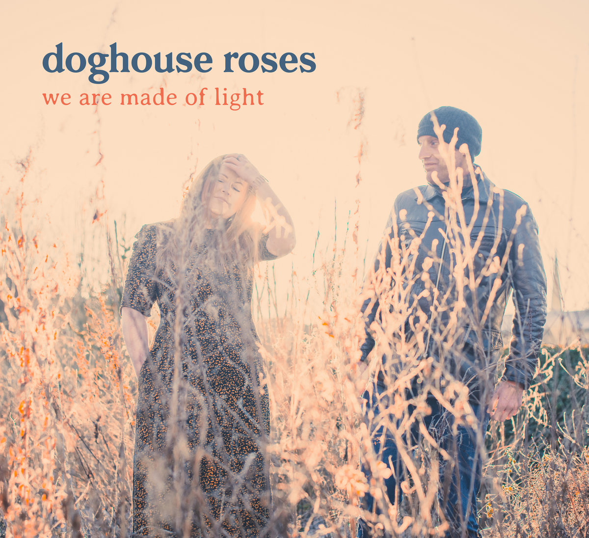 We Are Made Of Light Doghouse Roses