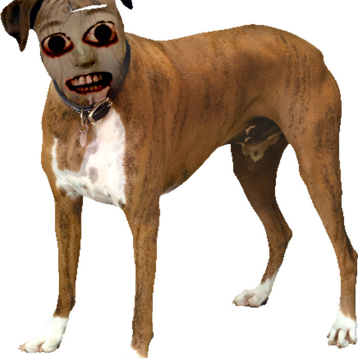 The Dog Tapes Nilesbeauchamp