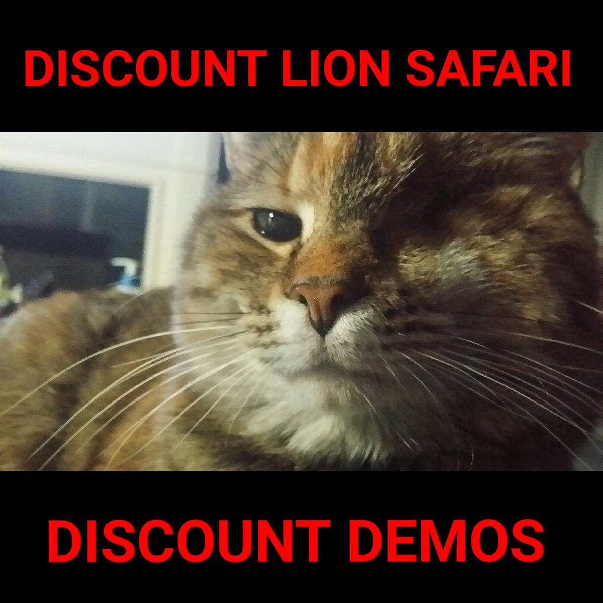 Discount Demos Discount Lion Safari
