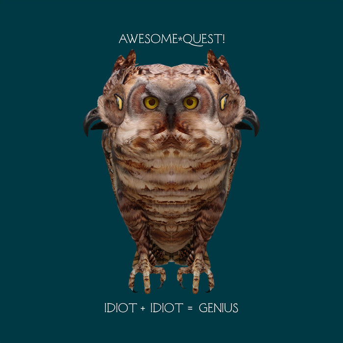 Idiot + Idiot = Genius AWESOME*QUEST!