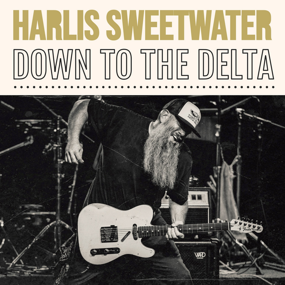 Down To The Delta Harlis Sweetwater