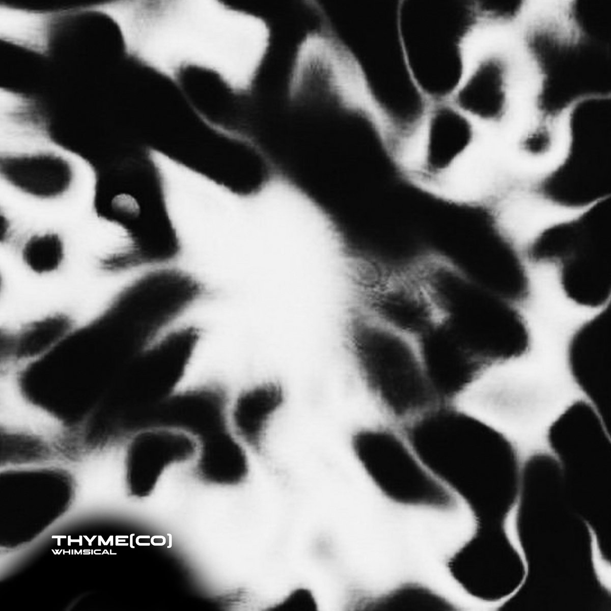 Whimsical [CSRS04] Thyme(CO) CommonSense Records