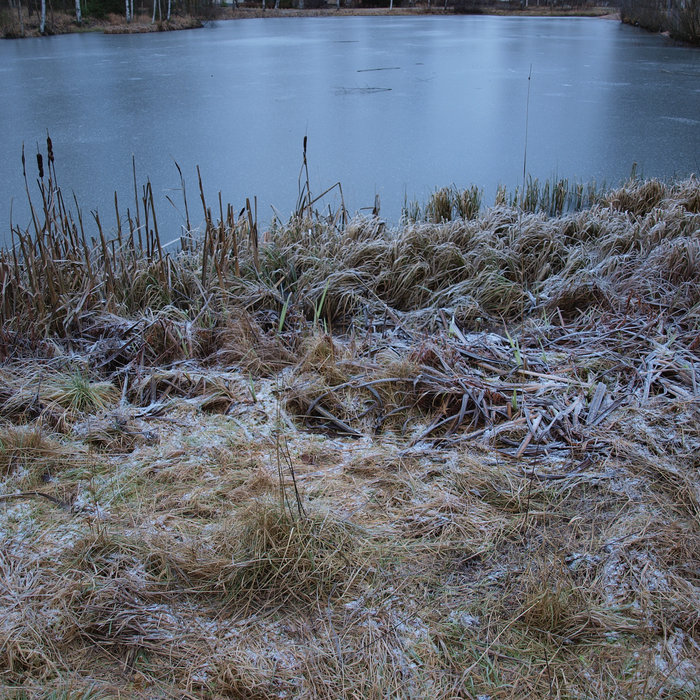 Ice Ponds Jeff Brown