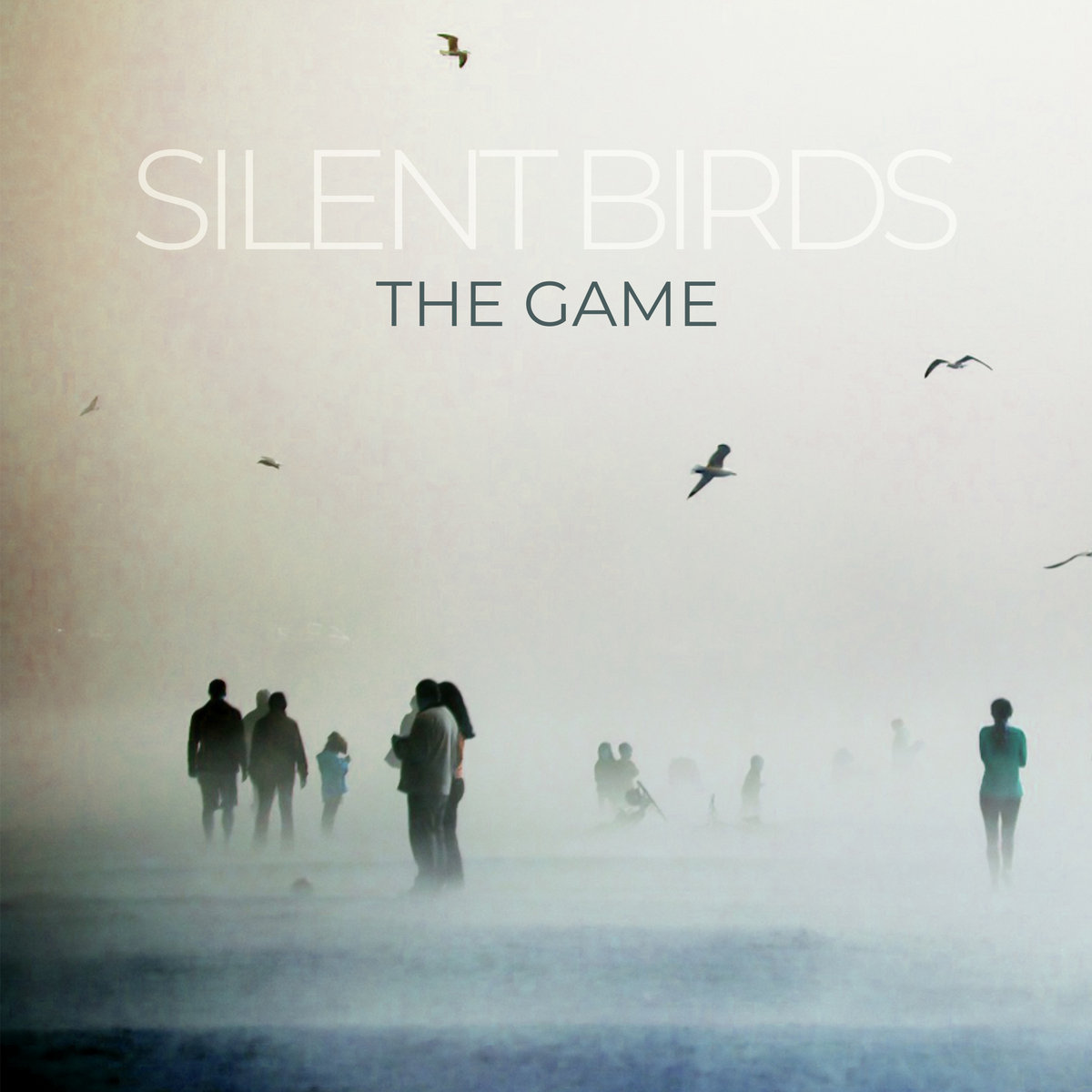 The Game Silent Birds