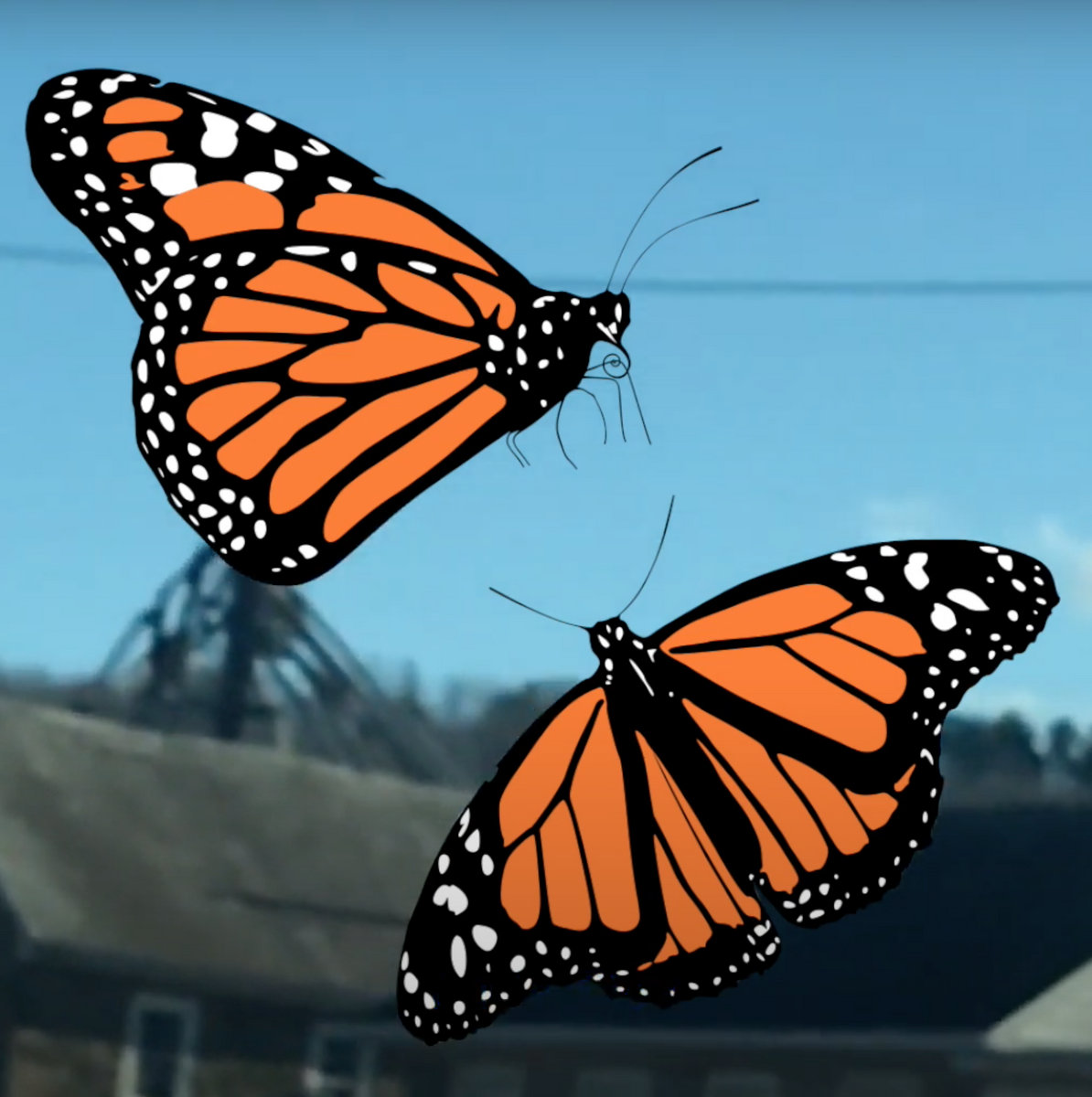 29 Strafford APTS Hafsol