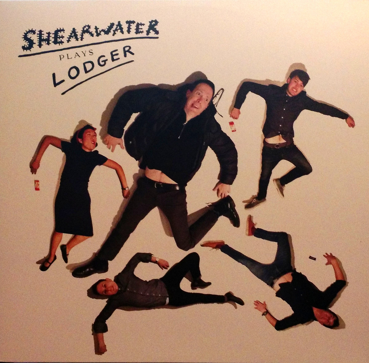 Fantastic Voyage Shearwater