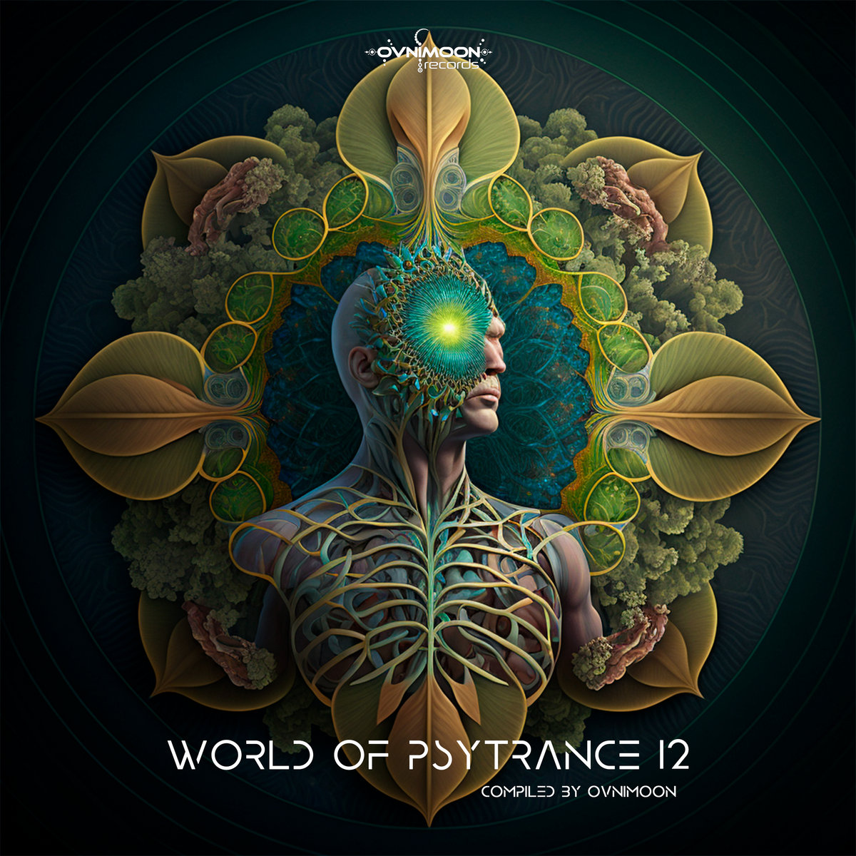 World Of Psytrance 12 V.A (Ovnimoon Records) Ovnimoon Records