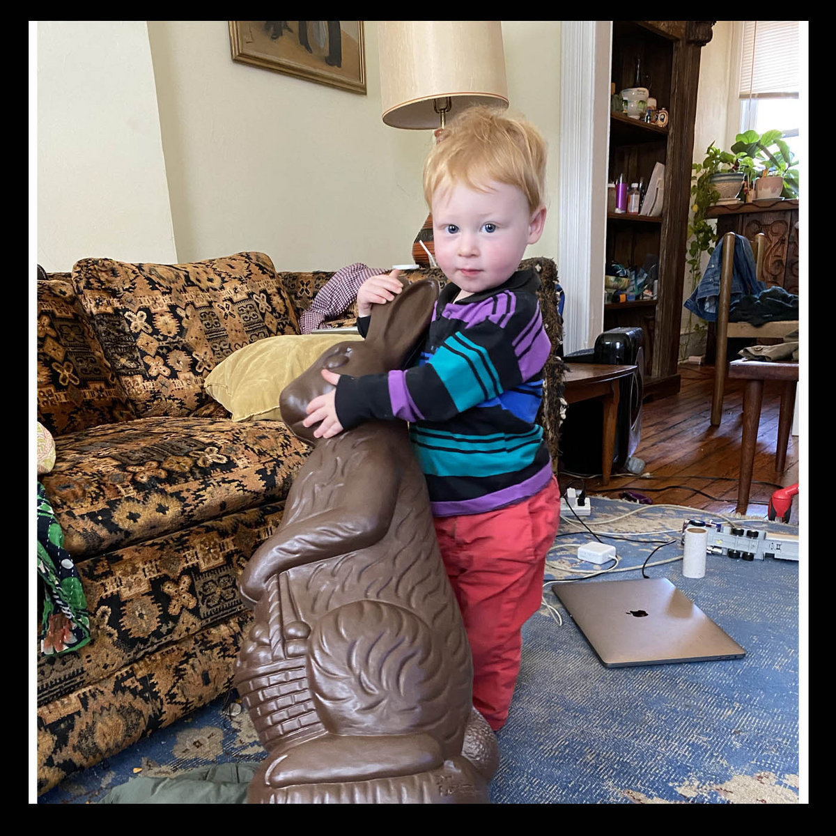 Largest Chocolate Bunny