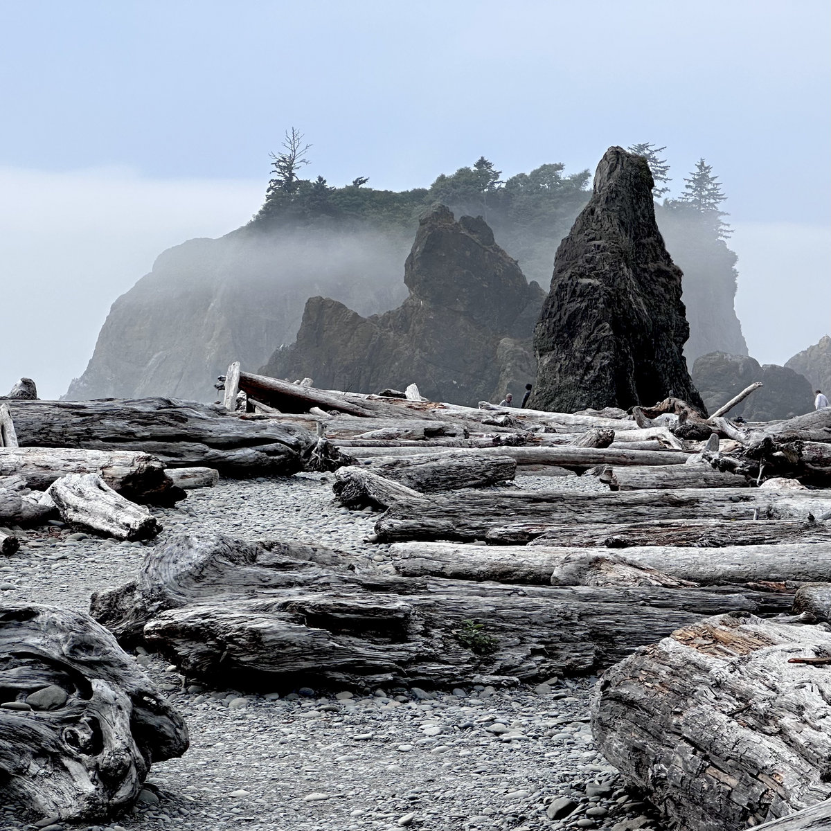 carrion / carry on third daughter