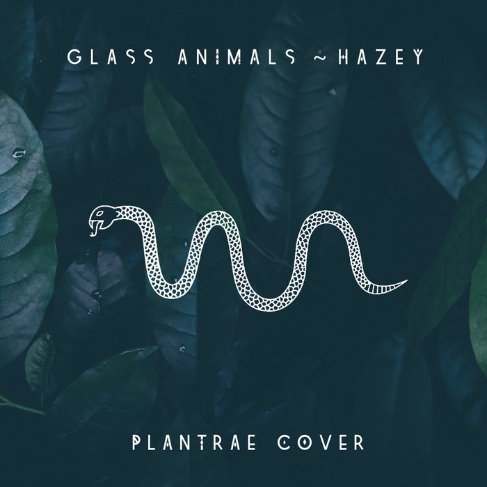 Hazey Glass Animals (Cover) PLANTRAE