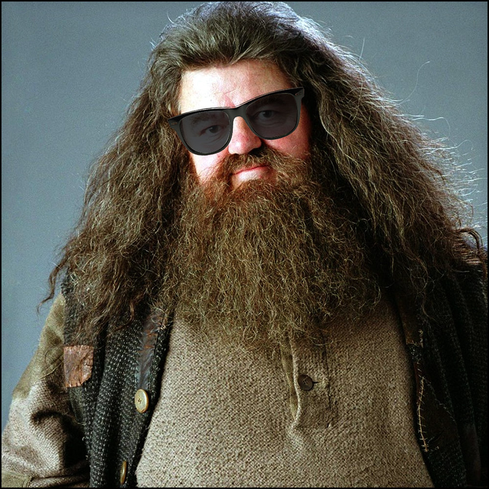 You Re A Wizard Harry Quote / 39 Harry Potter Wizards Quotes Quotes For Life / You're a wizard