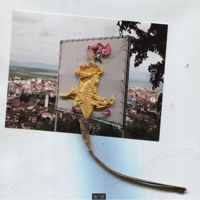 Does the bird fly over your head? Belave