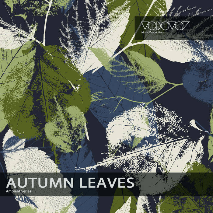 Autumn Leaves Piano Music Commercial  License Vodovoz Vodovoz Music Productions