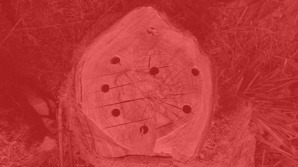 Llanerch The Trees Llanerch The Trees Listen to the Voice of Fire