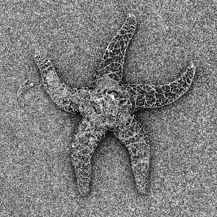 Campbell Town Rain (JOTS demo) Zachary James