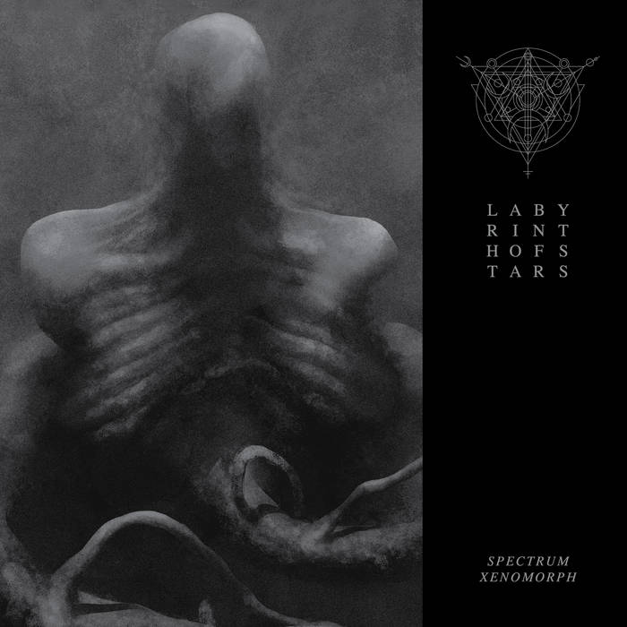 Spectrum Xenomorph Labyrinth of Stars