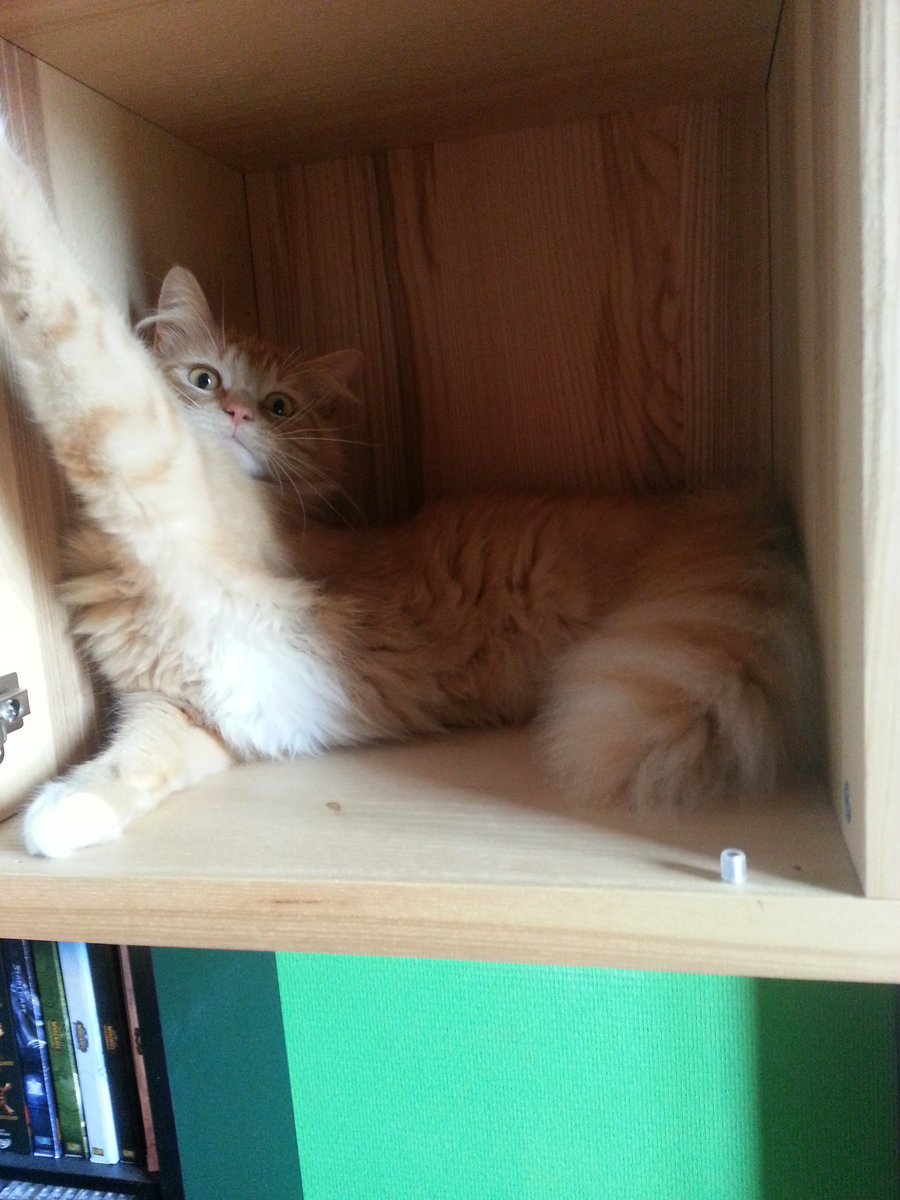 Crack Slang Meaning Of Thot Mercnelli matomulfuncsu