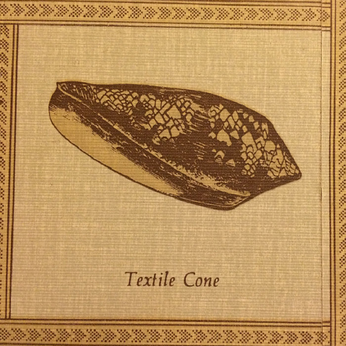 Textile Cone Ben Varian