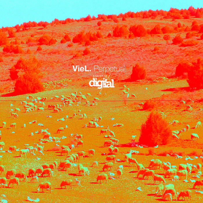 Perpetual VieL Stripped Digital