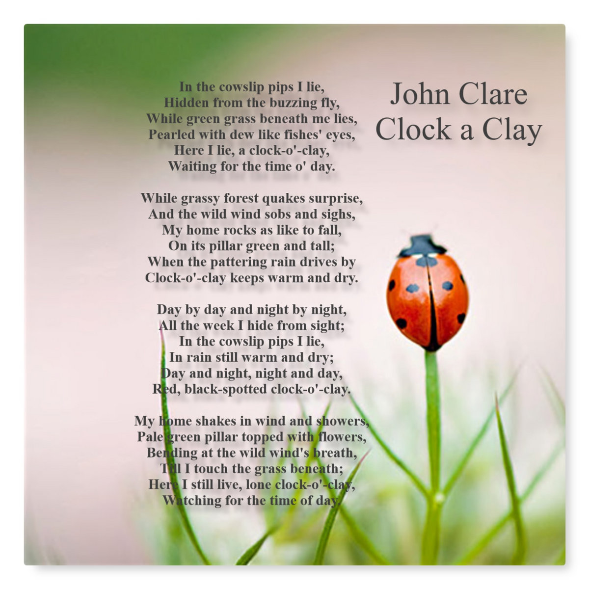 Clock a Clay Hark! en Co