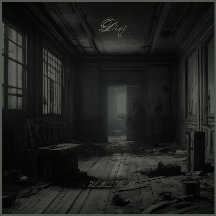 Hollow Walls | DINJ
