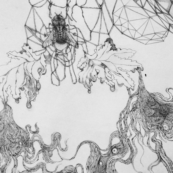 Evil Twin The Creepy Crawlies