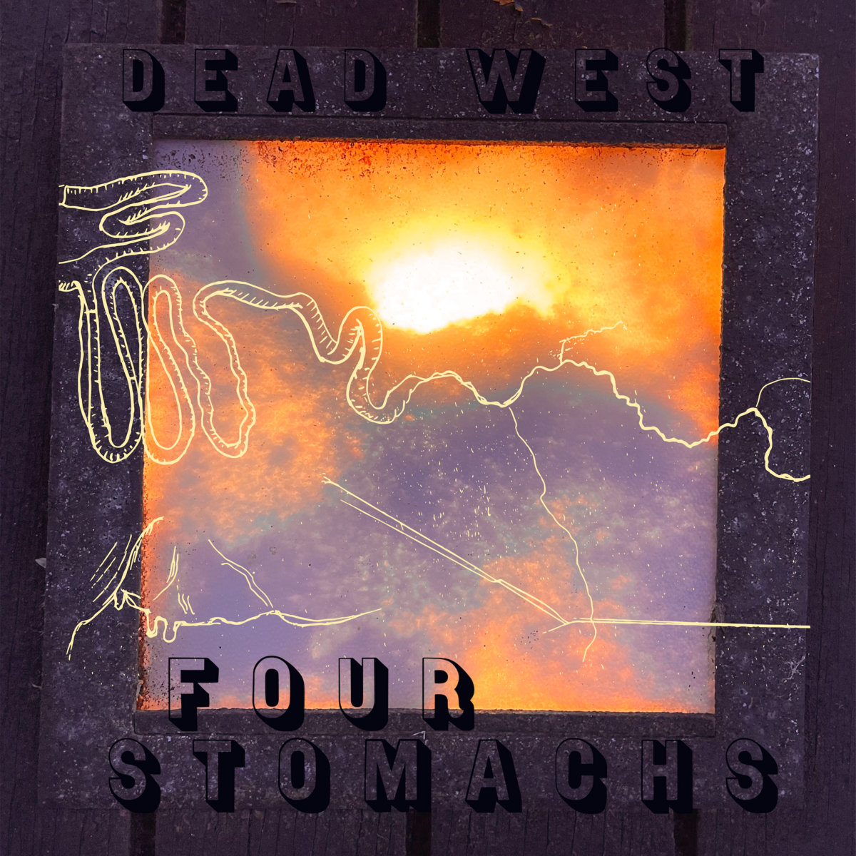 Four Stomachs Dead West